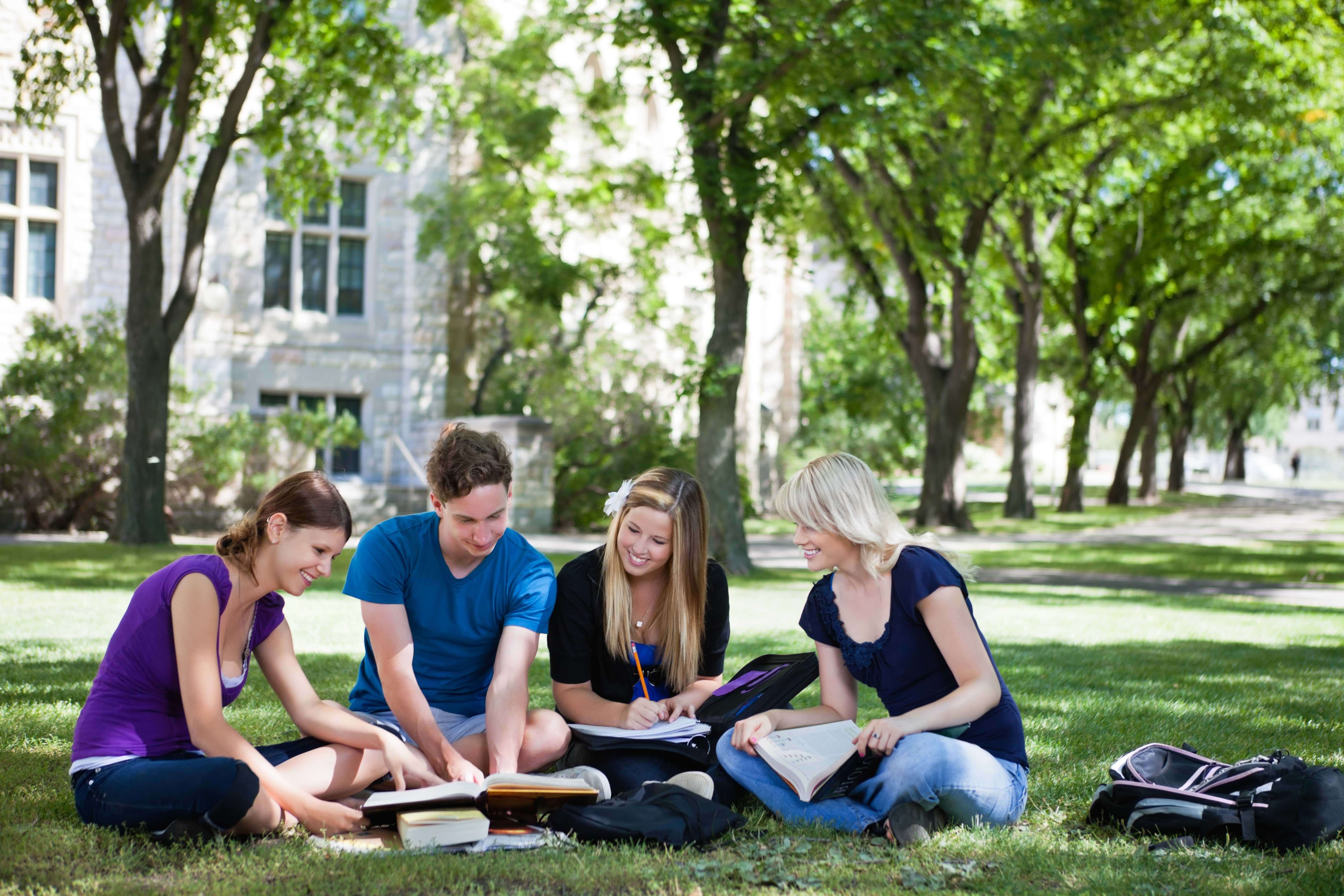 Психология студентов колледжа. Люди на траве в парке. Студенты в парке. Группа людей в парке на траве. Молодежь в парке.